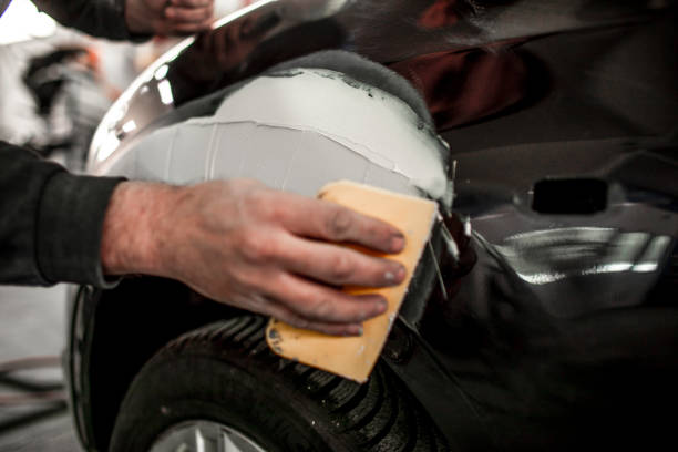 Best Mold Documentation for Insurance Claims  in Gainesboro, TN