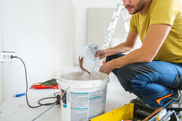 Best Basement Mold Removal  in Gainesboro, TN
