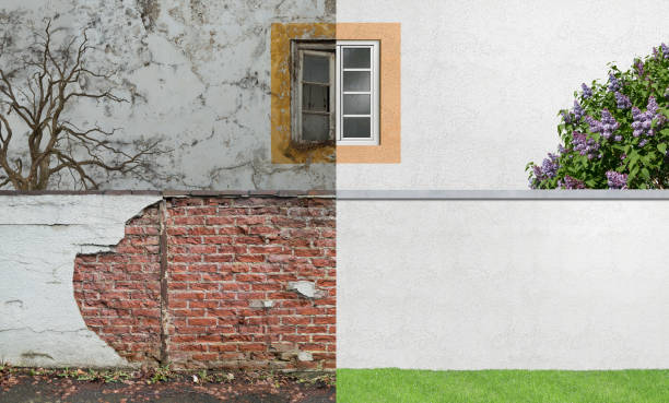 Mold Odor Removal Services in Gainesboro, TN